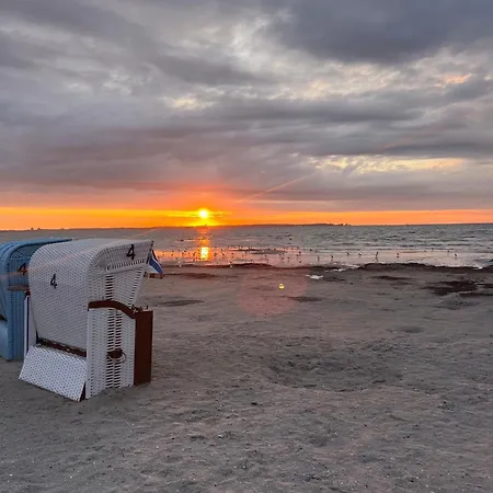 Muschelsucher *