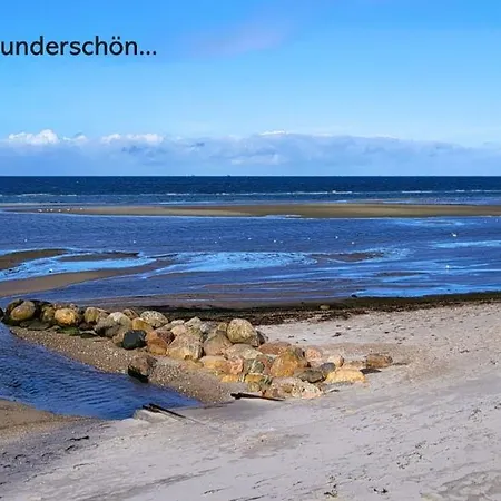 Apartment Muschelsucher *
